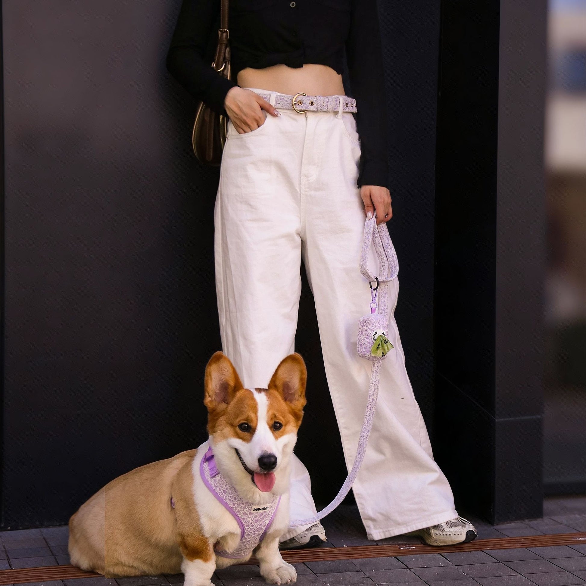 lavender lace dog harness leash set  and  woman belt for  Modern pet parent enjoying a relaxed walk with their dog using coordinated accessories in daily life