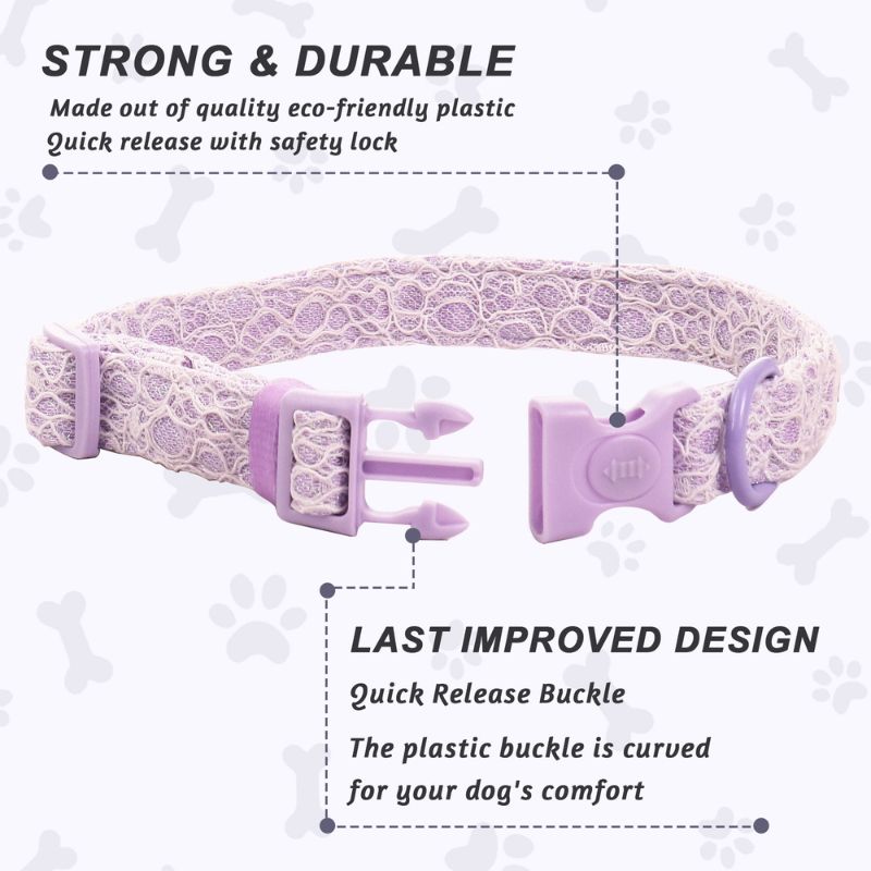 lavender lace training collars for dogs  designed to match the harness and owner accessories in a coordinated system
