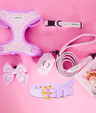 Ensemble harnais, laisse, collier et porte-sacs à crottes Lavender