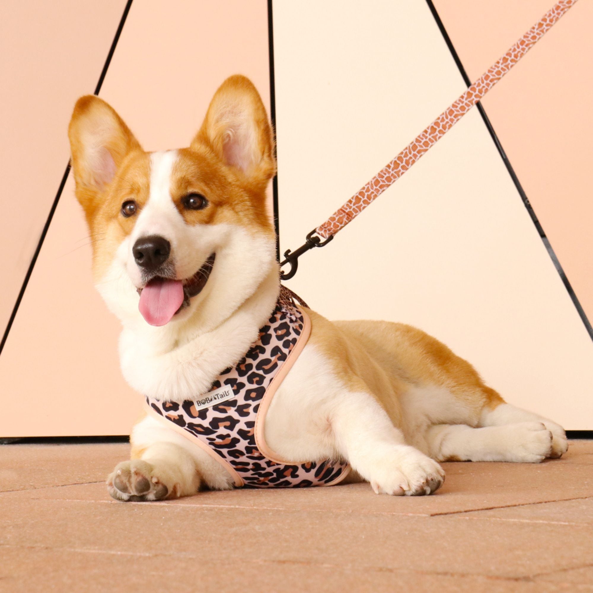 leapard printed dog jacket with harness designed as part of a matching dog and owner accessory system for everyday walks