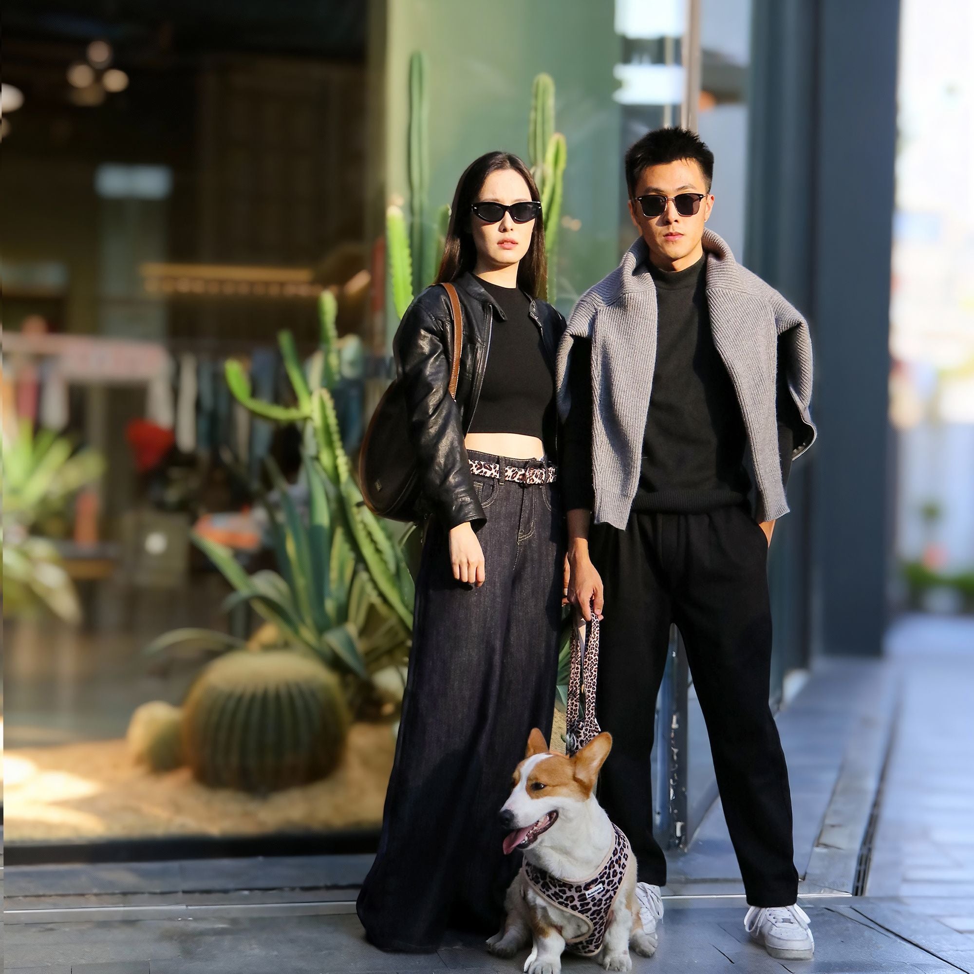 Leopard print dog leash designed to match the harness and owner accessories for modern pet parents