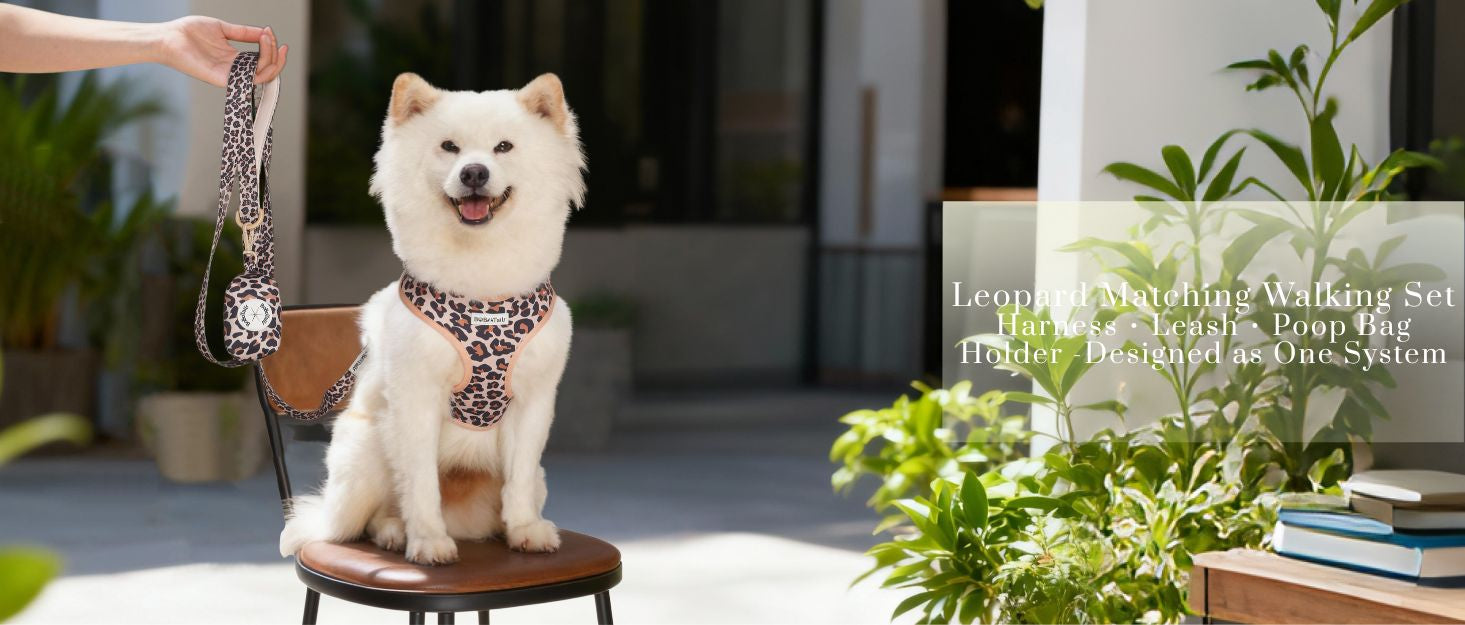 leopard dog leash and harness sets  designed as part of a matching dog and owner accessory system for everyday walks