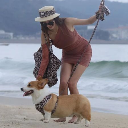 A woman in a rust-colored dress and leopard-print hat walks a corgi on a beach. The dog is wearing a matching leopard-print harness, and the woman carries a leopard-print shoulder bag.