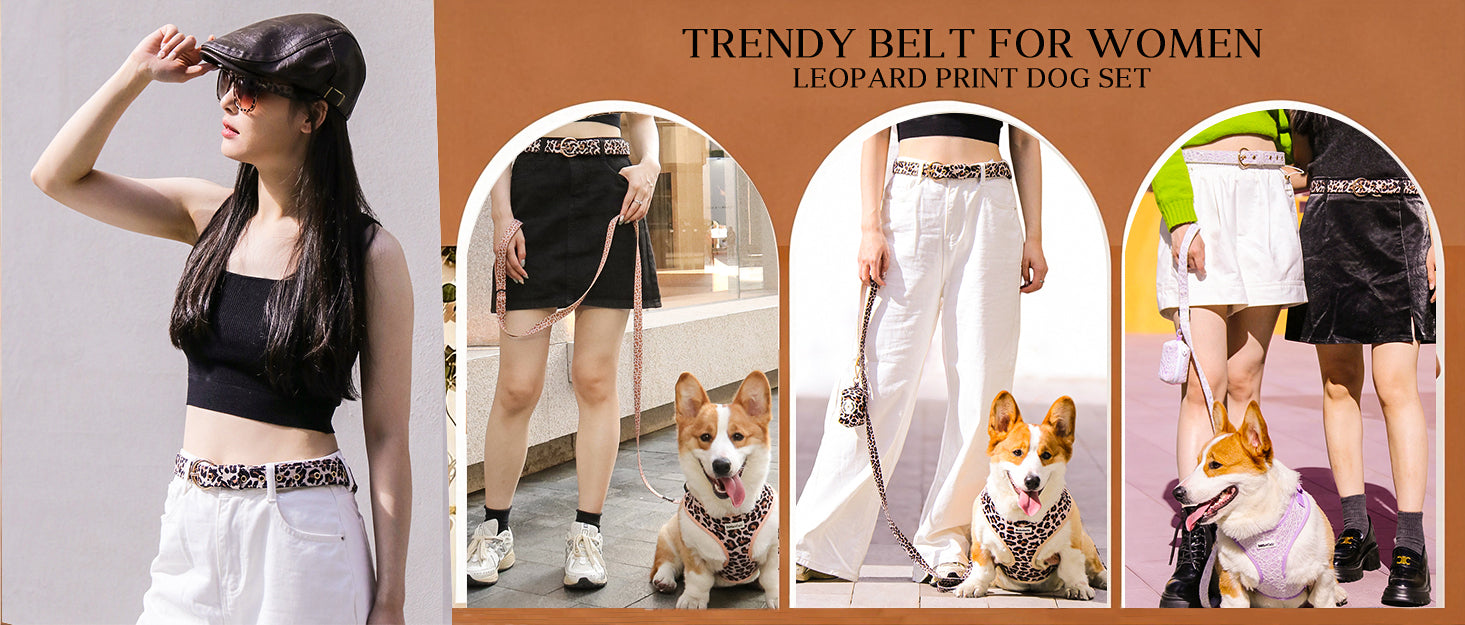 leopard print dog and owner accessories system include women's belt,dog harness,dog leash,dog poop bag holder and dog walking bag