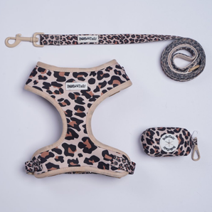 leopard printed dog harness leash set for small and medium dog  designed as part of a matching dog and owner accessory system for everyday walks