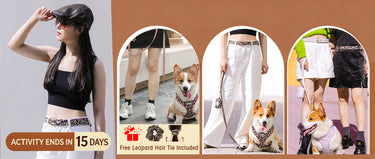 matching dog harness leash set and owner accessories leopard women's belt and sunglasses