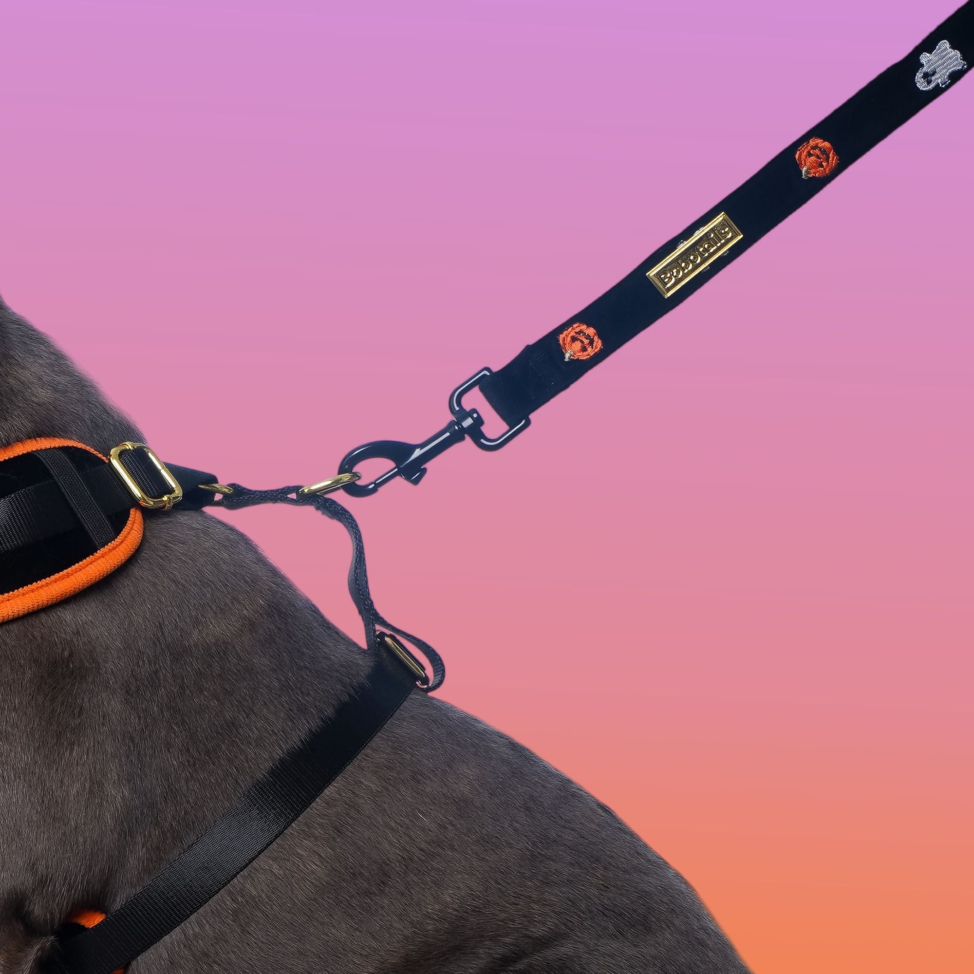 Morning Glory Dog Lash