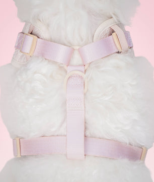 Side view of morning glory biscuit  dog harness showing fit and comfort within a coordinated dog and owner matching system