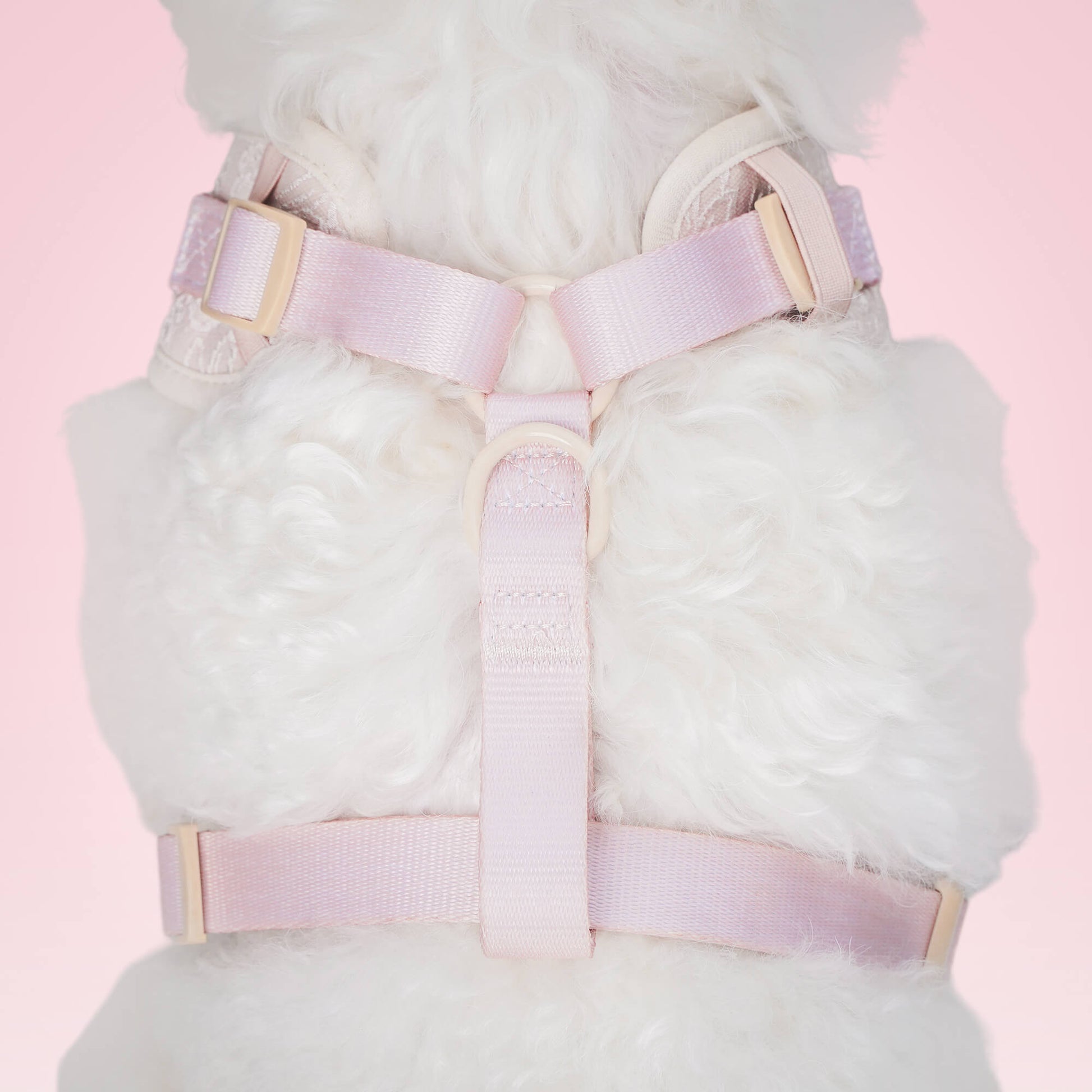 Side view of morning glory biscuit  dog harness showing fit and comfort within a coordinated dog and owner matching system