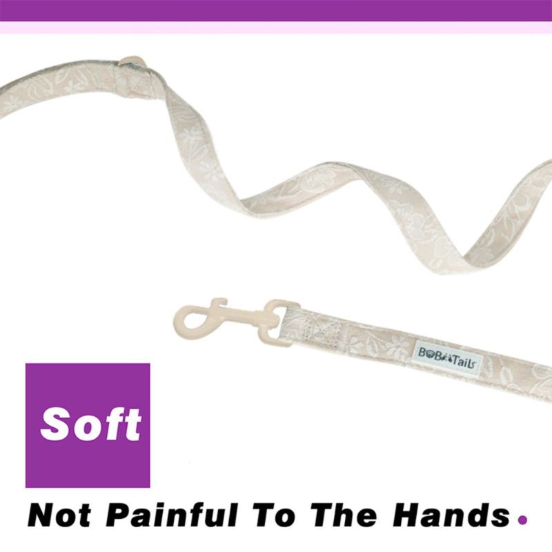 morning glory biscuit  best dog collars and leashes for training matching the harness and owner accessories in a coordinated set