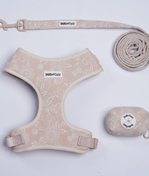 morning glory biscuit dog harness leash set designed to complement the harness and accessories within the set