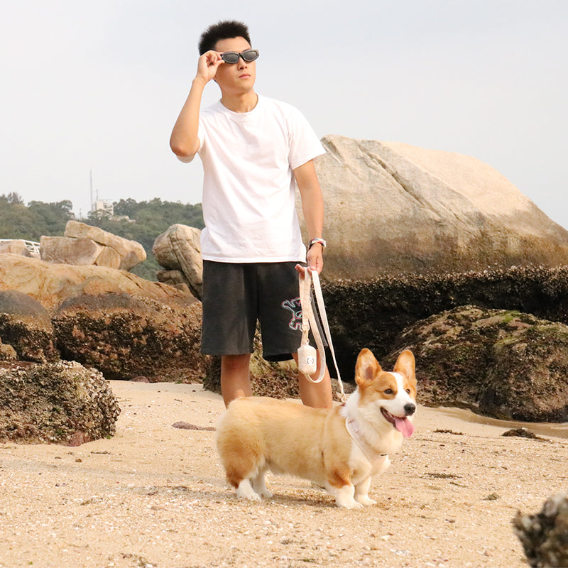  morning glory biscuit dog harness set for medium dog as part of a coordinated dog and owner accessory system