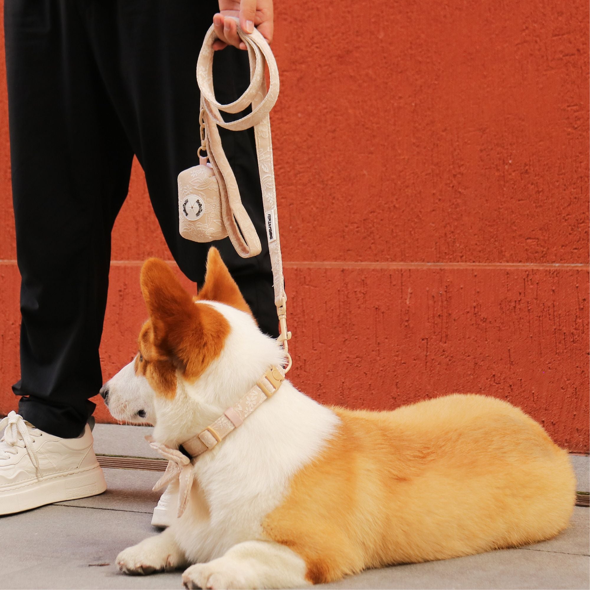 morning glory biscuit doggie poop bag holder matching the harness and owner accessories for daily dog walks