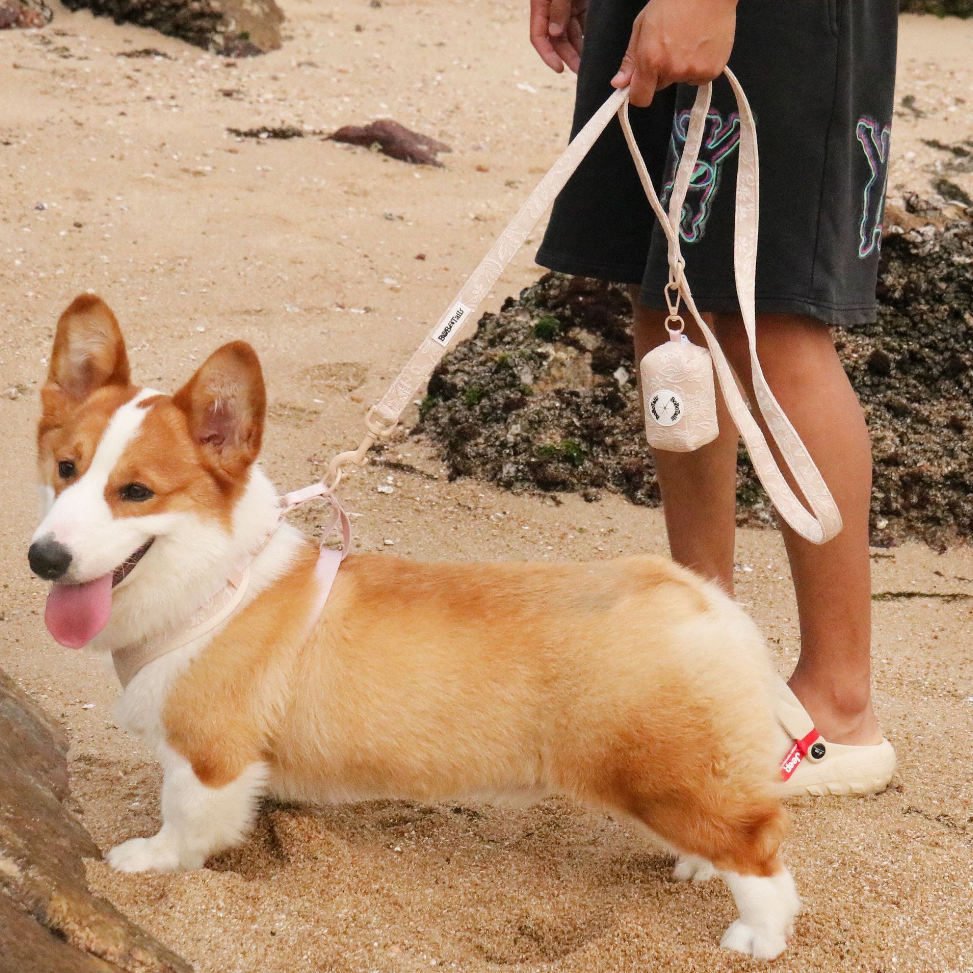 morning glory biscuit medium dog harness and leash set as part of a coordinated dog and owner accessory system