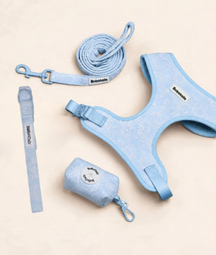 Ensemble harnais 4 pièces Morning Glory Blue pour chien