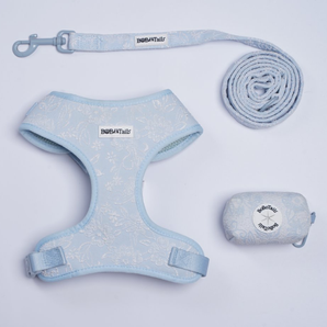 morning glory blue dog harness and leash set matching dog and owner accessories designed as one coordinated system