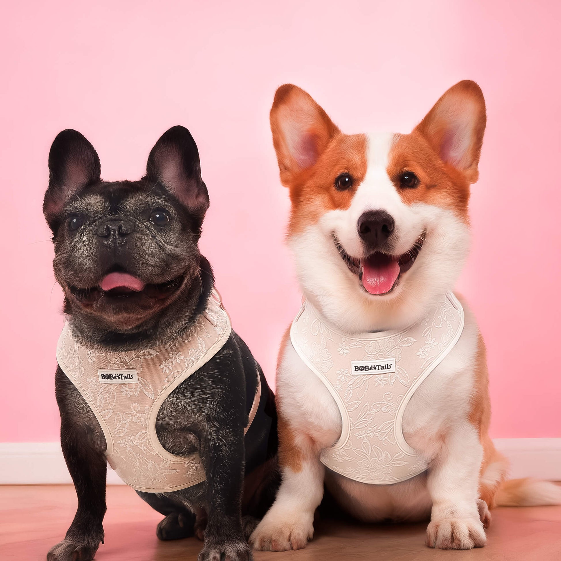morning glory dog harness for medium dogs designed as part of a matching dog and owner accessory system for everyday walks