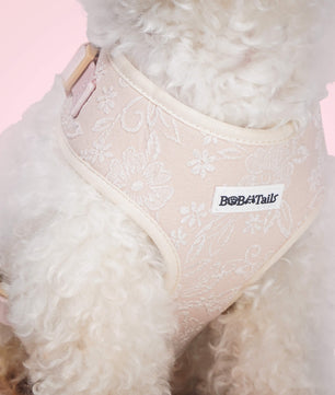 Side view of morning glory extra small dog harness showing fit and comfort within a coordinated dog and owner matching system