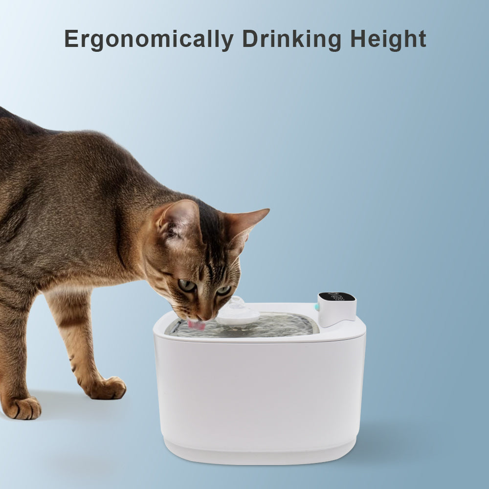 Hydration station for cats with replaceable carbon filter