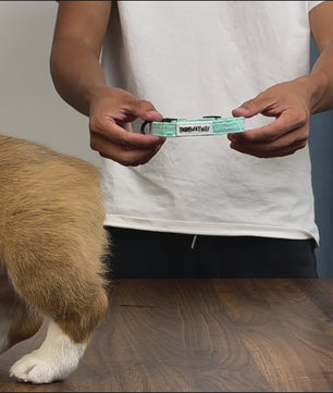 Bobotails Silk Embroidery dog collar name tag,Adjustable Custom Pet Collars of Lightweight and Comfortable Knited Material for Small  Medium and Large Dogs