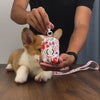 dinosaur printed dog leash and harness set as part of a matching dog and owner accessory system for everyday walks