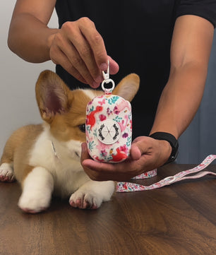 Bobotails Dinosaur Printed collection treat holder for leash lightweight pouch with zipper to hold waste bags 