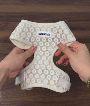 floral brilliance dog harness for small and medium size dog