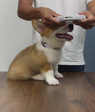  Bobotails Lavender  lace Winter New Collection Beauty of Lace Dog Lead For Small Dogs and Medium Dogs 