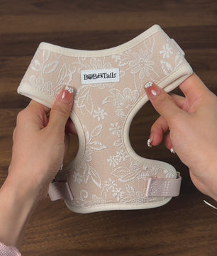 Morning Glory dog harness no pull dog  harness design as part of a coordinated dog and owner accessory system