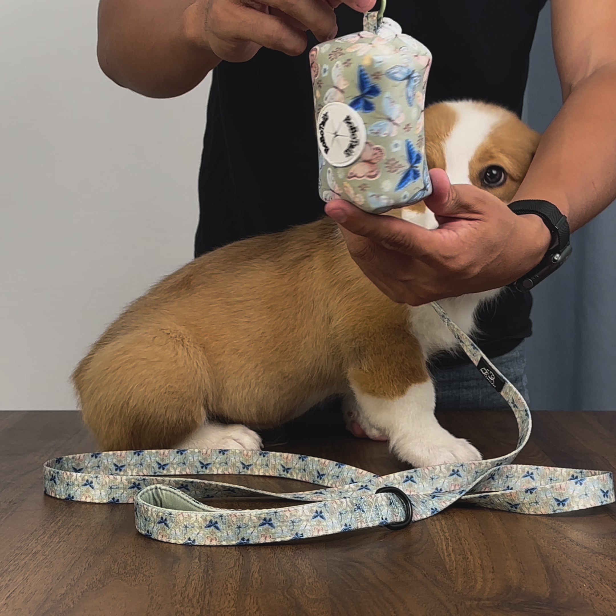 Durable retractable dog leash with smooth one-button locking system