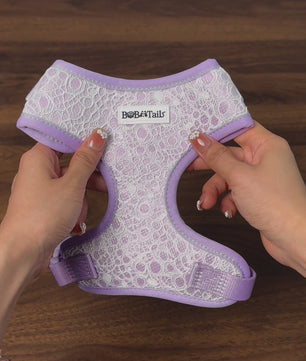 Bobotails Lavender Purple Halloween Collection Beauty of Lace No-Pull Dog Vest Harness For Small Dogs and Medium Dogs  