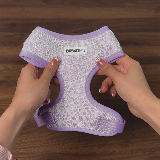 Bobotails Lavender Purple Halloween Collection Beauty of Lace No-Pull Dog Vest Harness For Small Dogs and Medium Dogs  