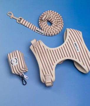 Ensemble harnais pour petits chiens, laisse et porte-sacs à crottes