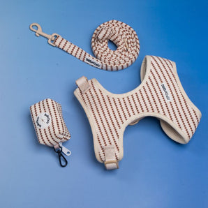Ensemble harnais pour petits chiens, laisse et porte-sacs à crottes