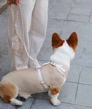 A medium small grain dog lead and harness sets designed to match the harness and owner accessories for modern pet parents