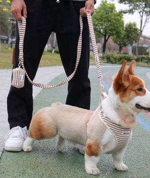 small grain dog harness and leash setas part of a matching dog and owner accessory system for everyday walks