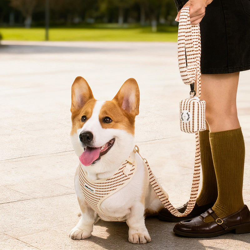 a medium dog Corgi wear on poop bag holders for leashes