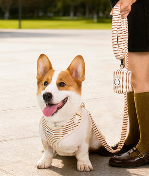 a medium dog Corgi wear on poop bag holders for leashes