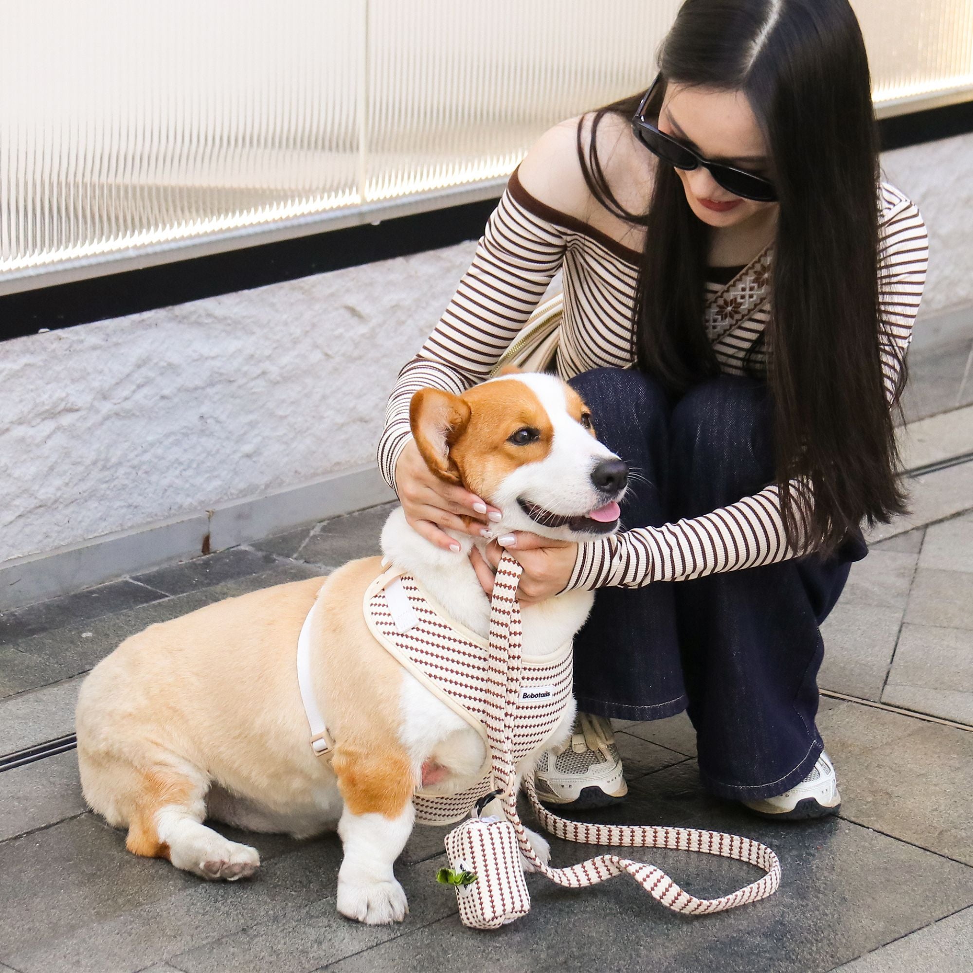 small grain dog vest harness leash matching set with dog poop bag holder 