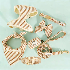 Small Grain Dog accessory set including a harness ,collar, leash, bandana, poop bag holder,matching women belt and more on Bobotails bundle matching set