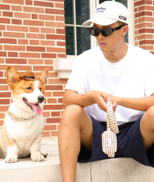 small grain puppy collar and leash for small and medium dog