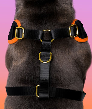 halloween velvet dog harness for medium dogs -bobotails